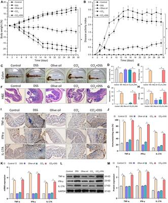 Mechanism of Ulcerative Colitis-Aggravated Liver Fibrosis: The Activation of Hepatic Stellate Cells and TLR4 Signaling Through Gut-Liver Axis